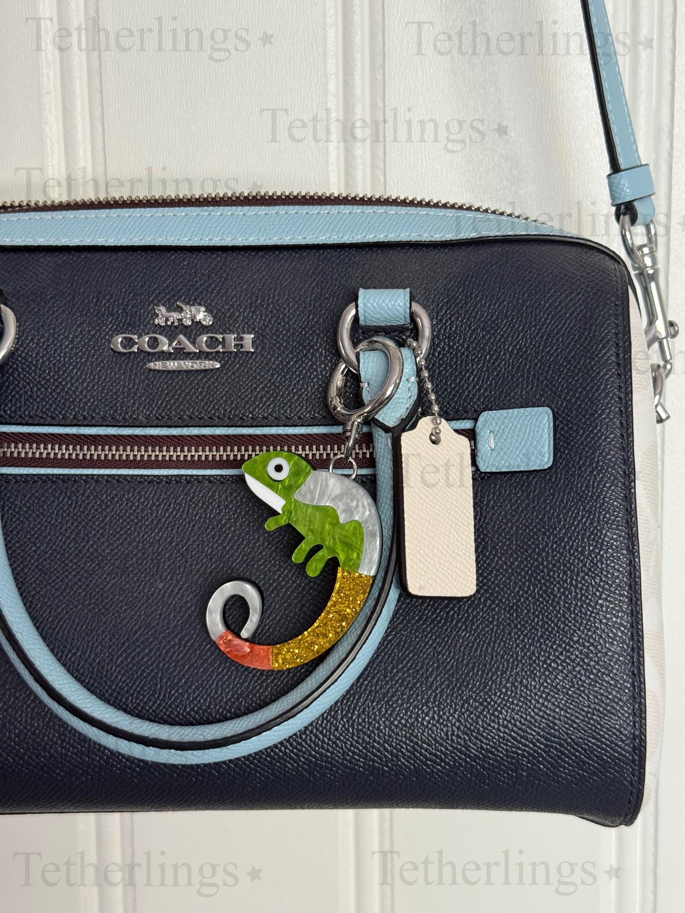 Acrylic Gecko Lizard Pendant Brooch and Keychain