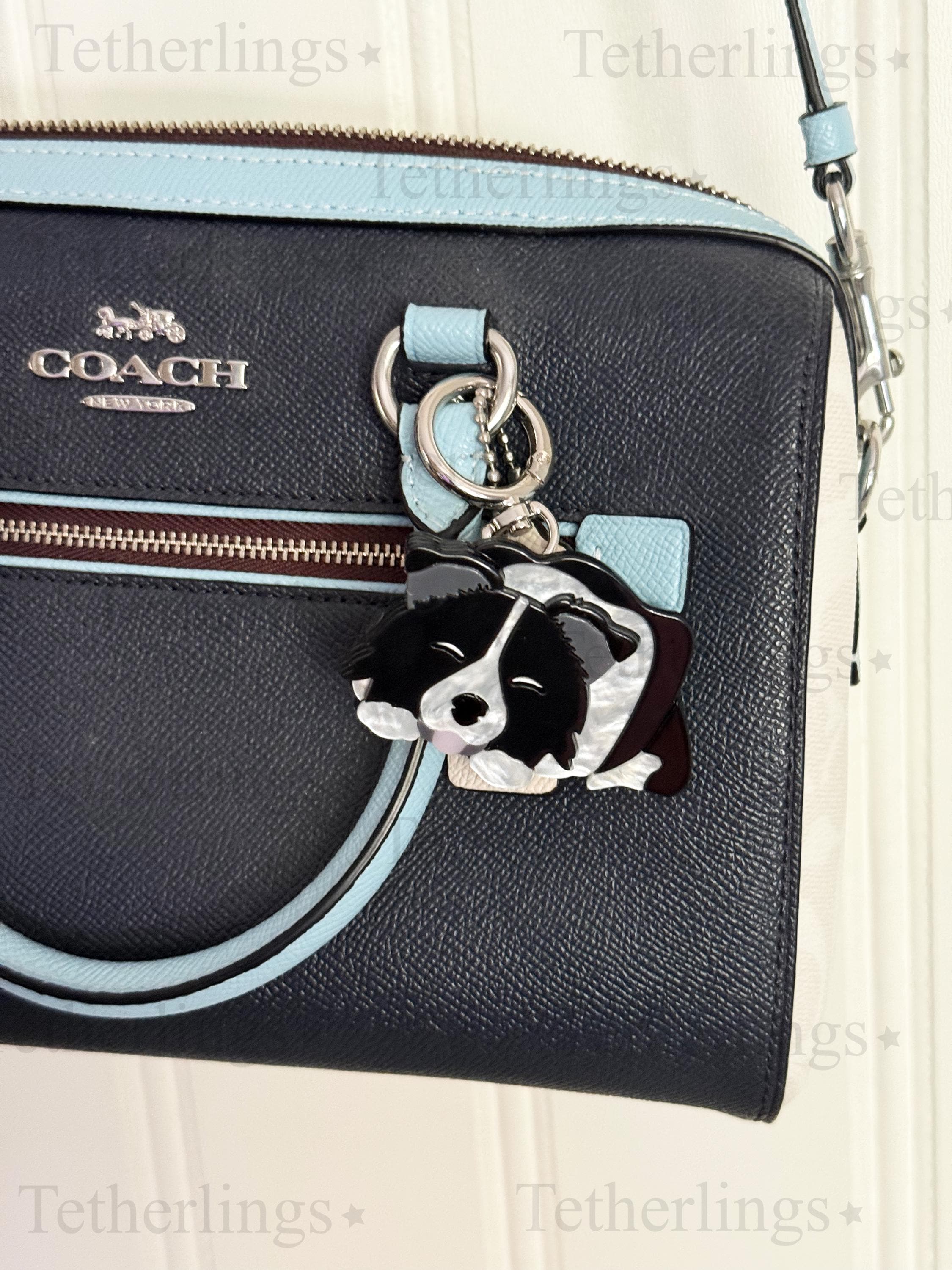 Acrylic Border Collie Black and White Dog Puppy Pendant Brooch and Keychain